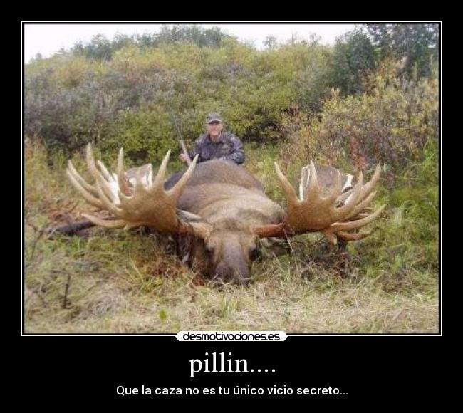 pillin.... - Que la caza no es tu único vicio secreto...