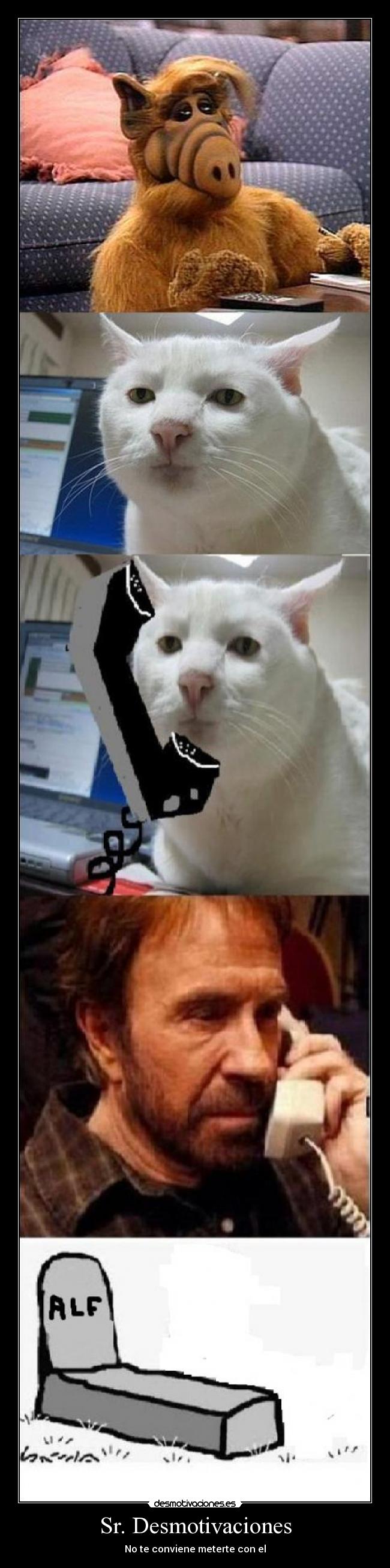Sr. Desmotivaciones - 