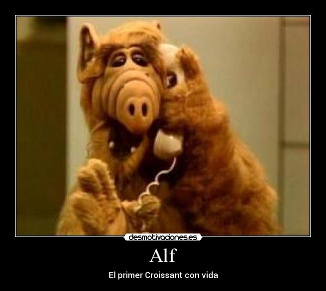 Alf -