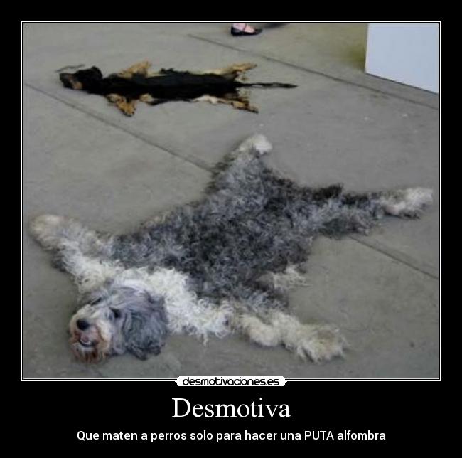 Desmotiva - Que maten a perros solo para hacer una PUTA alfombra