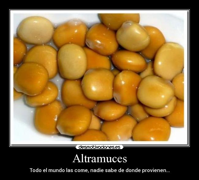 Altramuces -