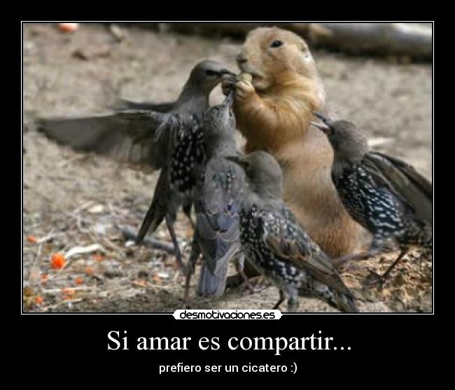 Si amar es compartir... - prefiero ser un cicatero :)