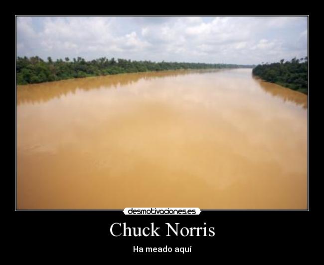 Chuck Norris -