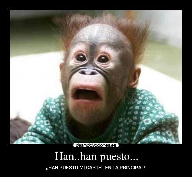 Han..han puesto... -