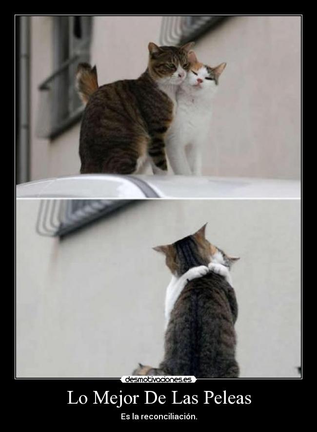Lo Mejor De Las Peleas - Es la reconciliación.