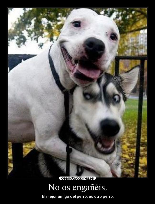 No os engañéis. -