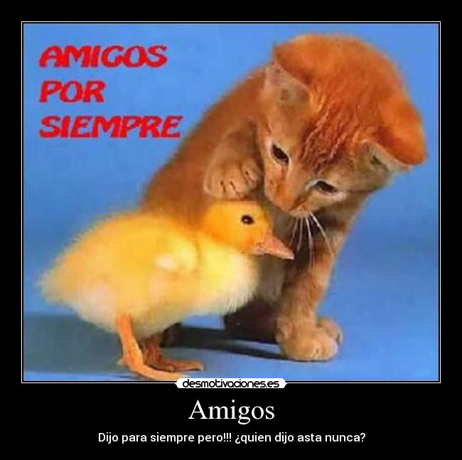 Amigos - Dijo para siempre pero!!! ¿quien dijo asta nunca?
