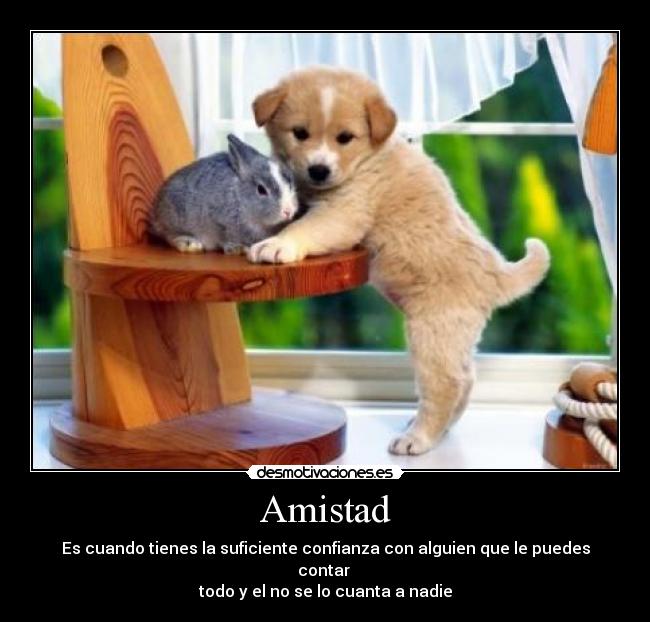 Amistad -