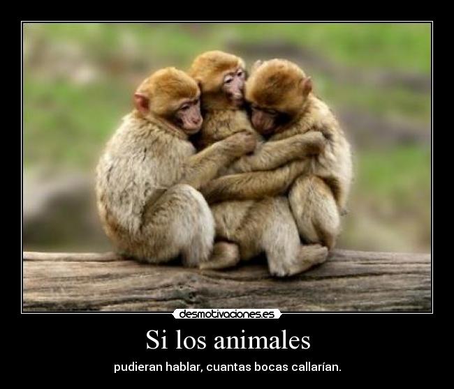 Si los animales - pudieran hablar, cuantas bocas callarían.