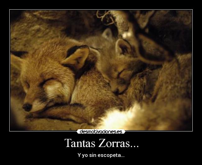 Tantas Zorras... - Y yo sin escopeta...