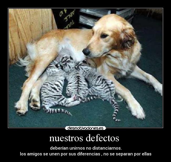 nuestros defectos -