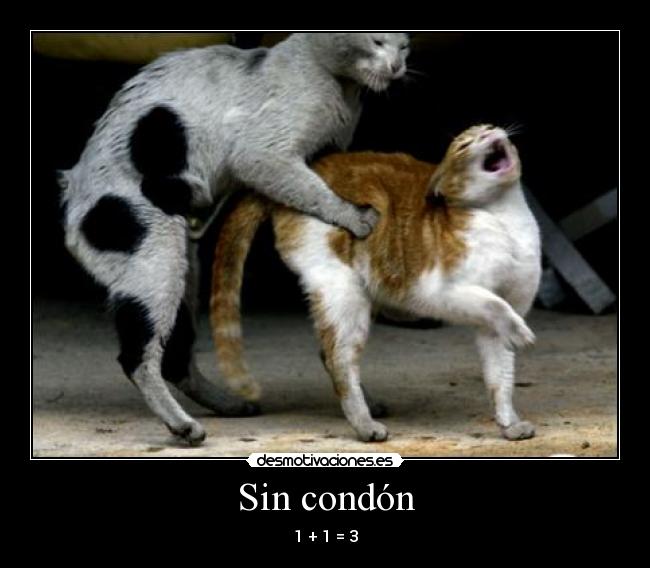 Sin condón -