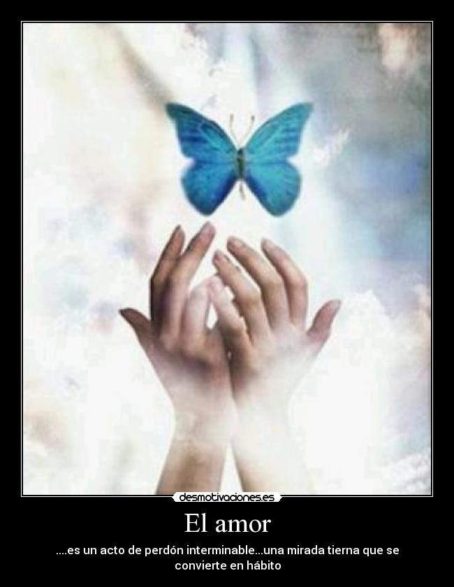 El amor - 