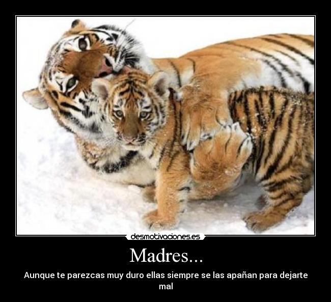 Madres... -
