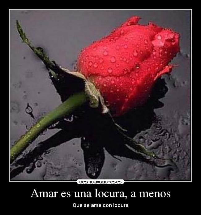 Amar es una locura, a menos - Que se ame con locura
