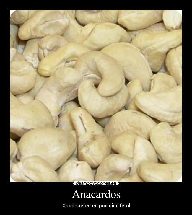 Anacardos - Cacahuetes en posición fetal