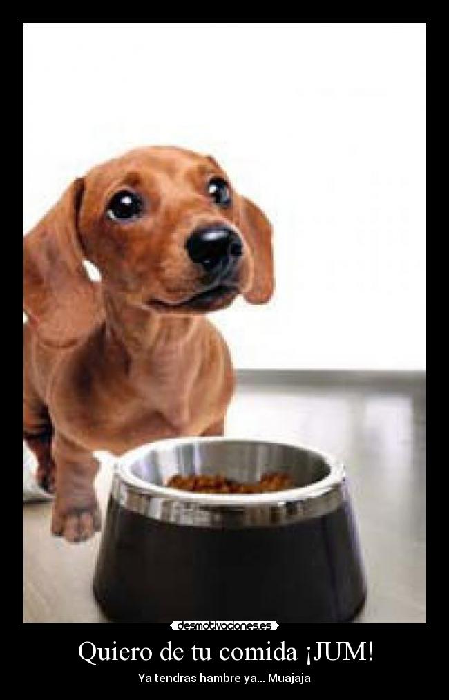 carteles comida javitoguapito desmotivaciones