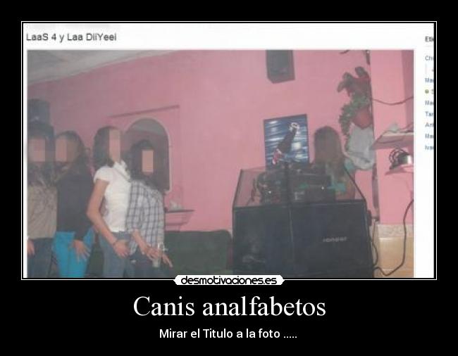 Canis analfabetos -
