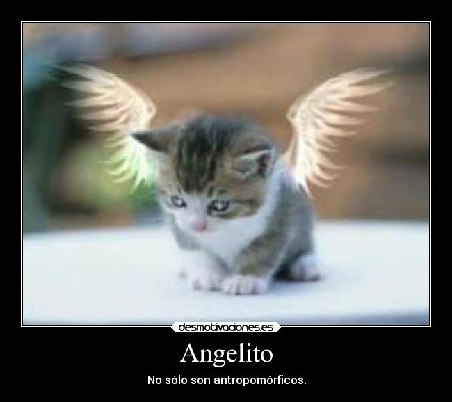 Angelito - No sólo son antropomórficos.