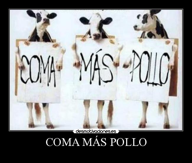 COMA MÁS POLLO - 
