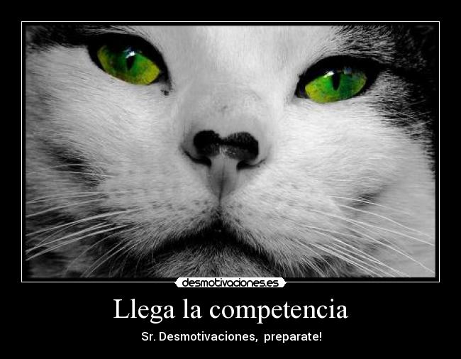 Llega la competencia - Sr. Desmotivaciones,  preparate!