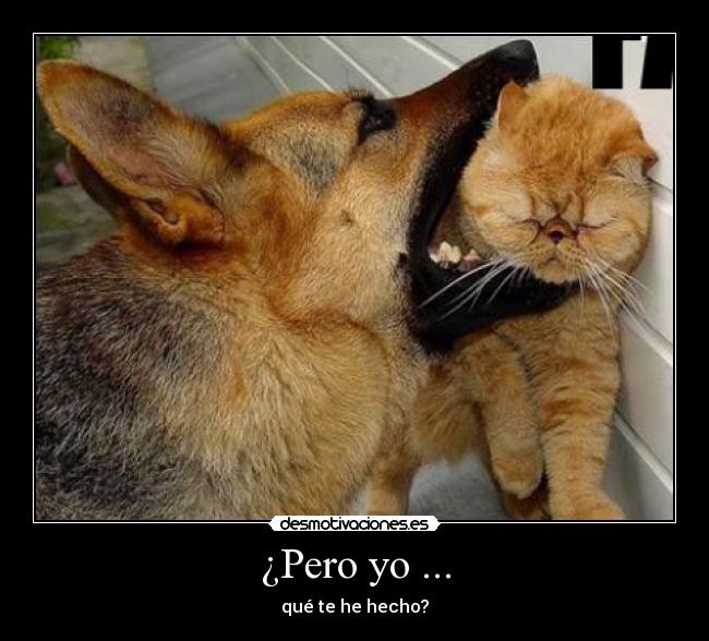 ¿Pero yo ... - 