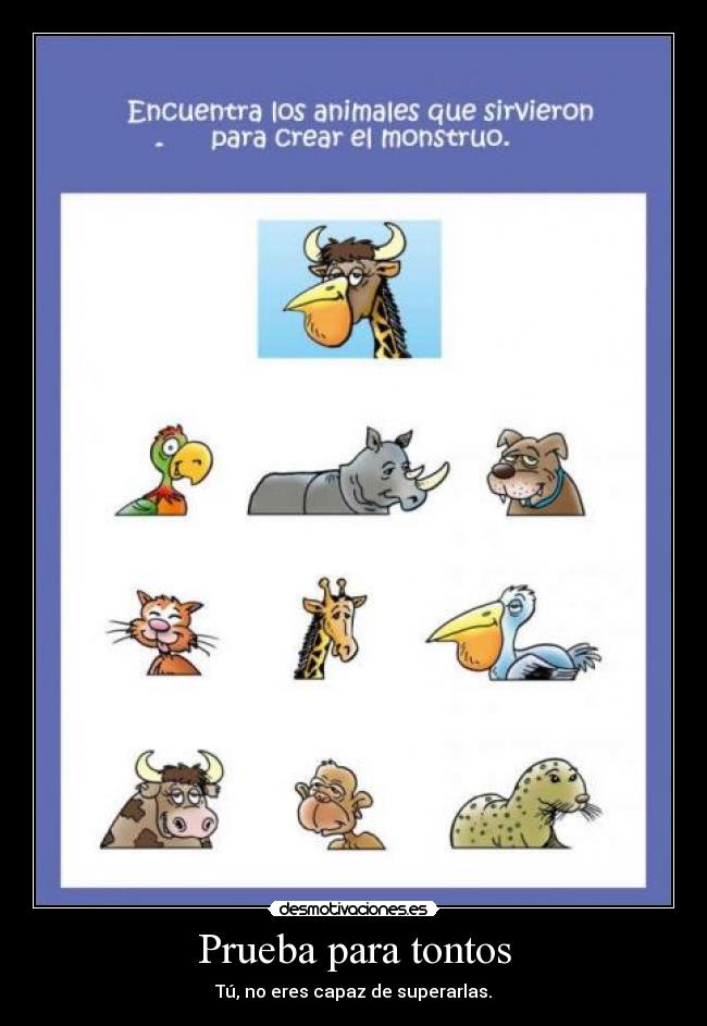 carteles prueba tonto animal animales desmotivaciones