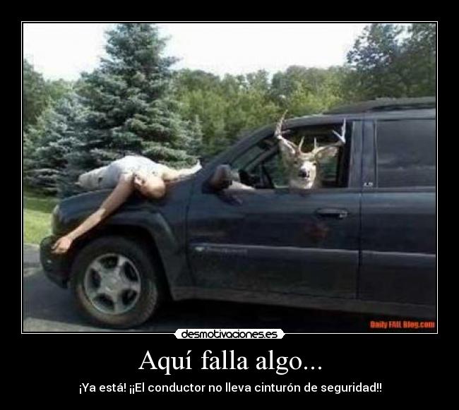 Aquí falla algo... - 