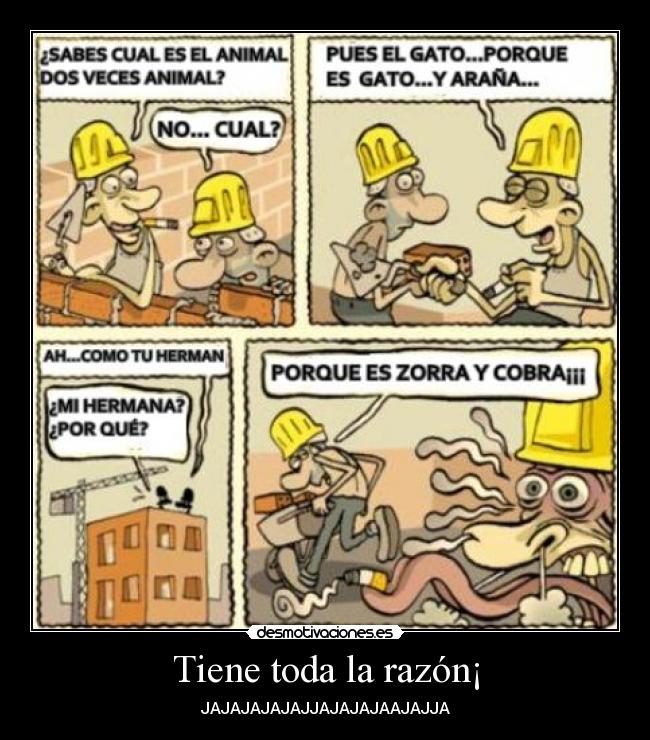 Tiene toda la razón¡ -