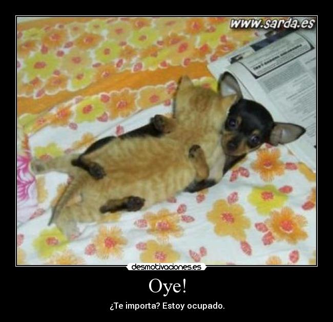 Oye! -