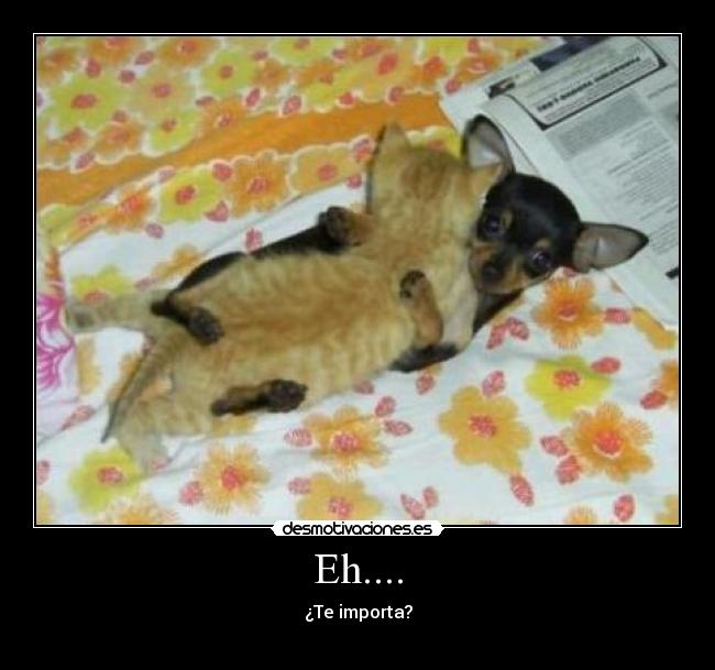 Eh.... - ¿Te importa?