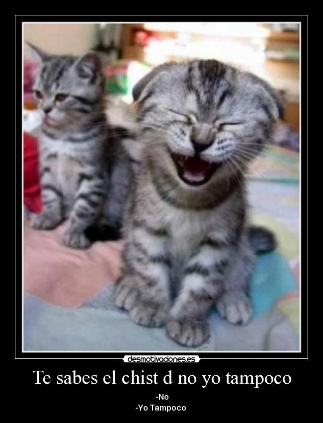 Te sabes el chist d no yo tampoco - -No
-Yo Tampoco