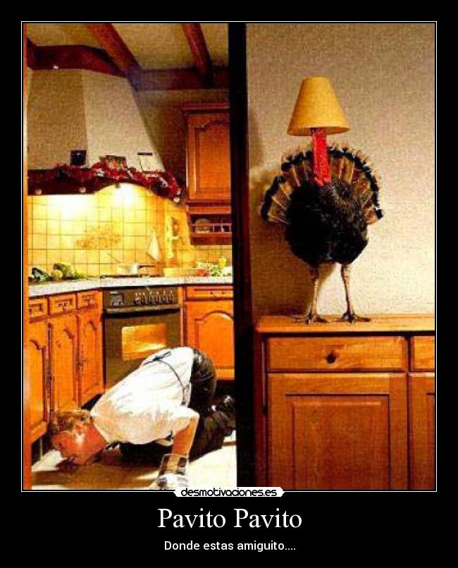 Pavito Pavito -