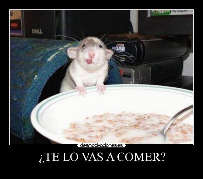 ¿TE LO VAS A COMER? -