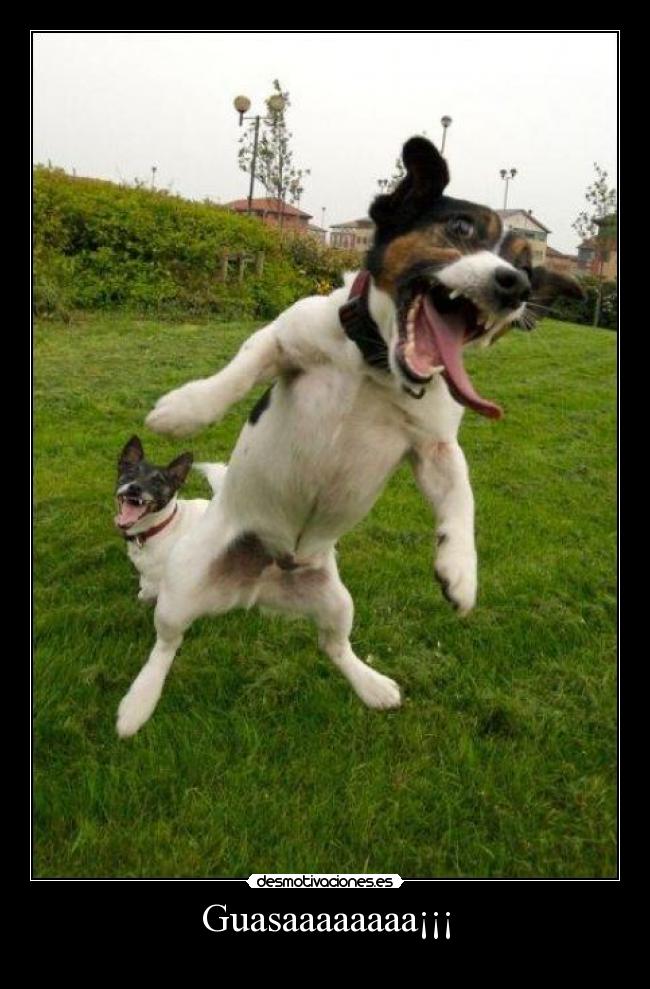 Guasaaaaaaaa¡¡¡ - 