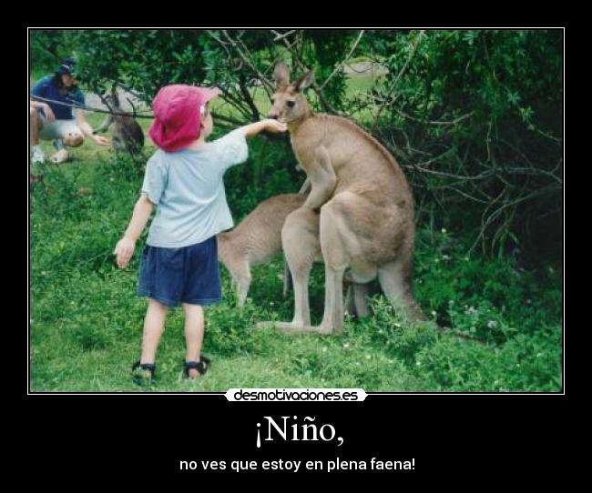 ¡Niño, - 