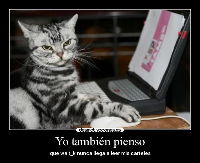 Yo también pienso - que walt_k nunca llega a leer mis carteles