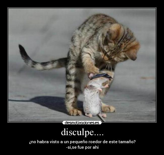 disculpe.... - ¿no habra visto a un pequeño roedor de este tamaño?
-si,se fue por ahi