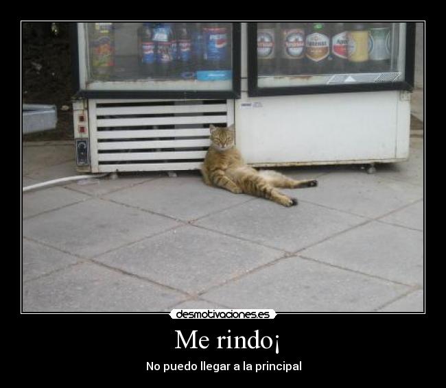 Me rindo¡ - No puedo llegar a la principal