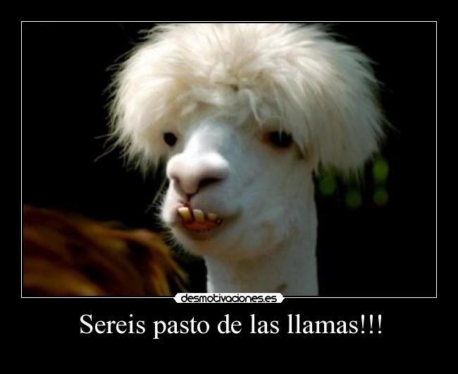 Sereis pasto de las llamas!!! - 