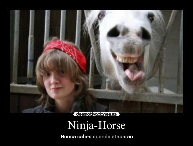 Ninja-Horse -