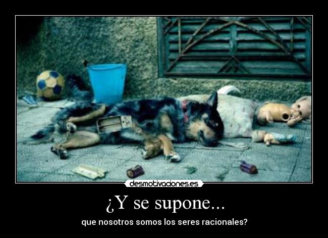 ¿Y se supone... -