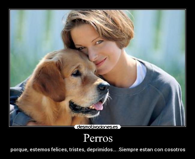 Perros - 