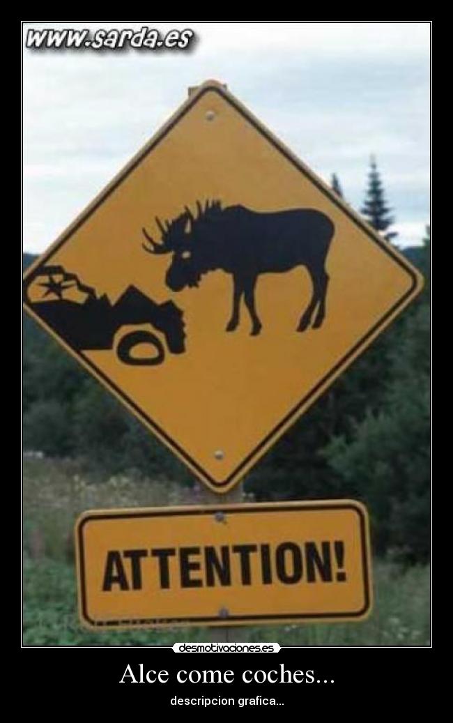 Alce come coches... -