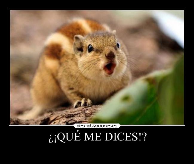 ¿¡QUÉ ME DICES!? -