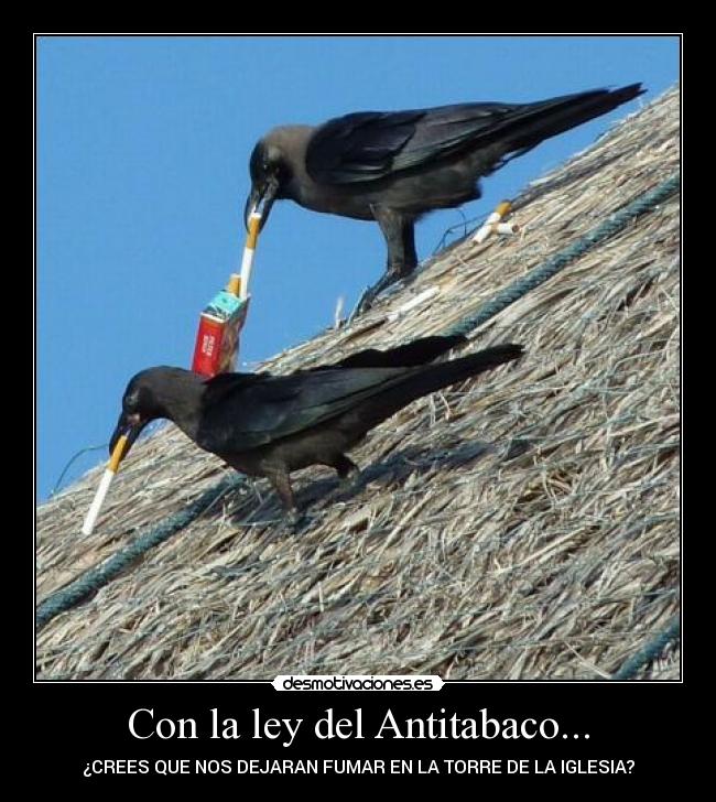 Con la ley del Antitabaco... -
