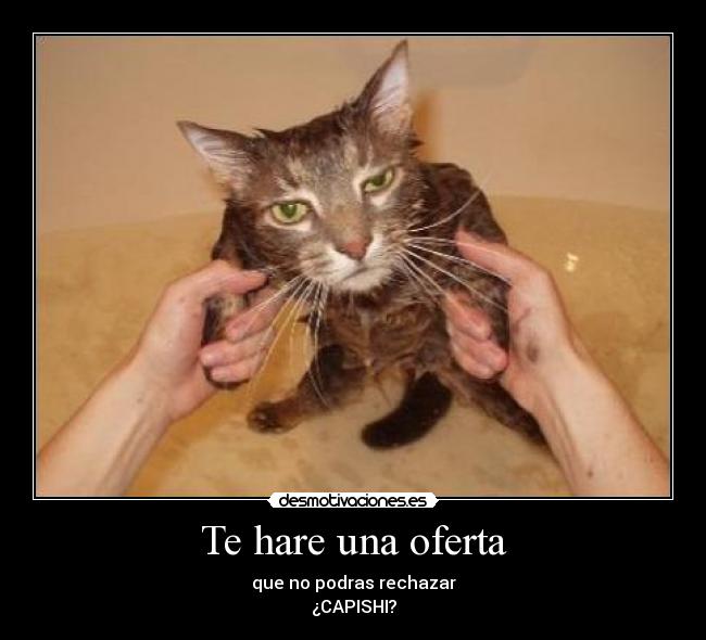 Te hare una oferta -