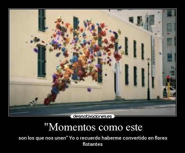 carteles los que nos unen recuerdo haberme convertido flores flotantes desmotivaciones