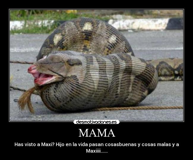 MAMA -