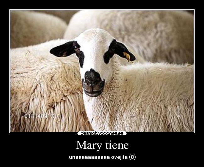 carteles believeindarkness desmotivaciones